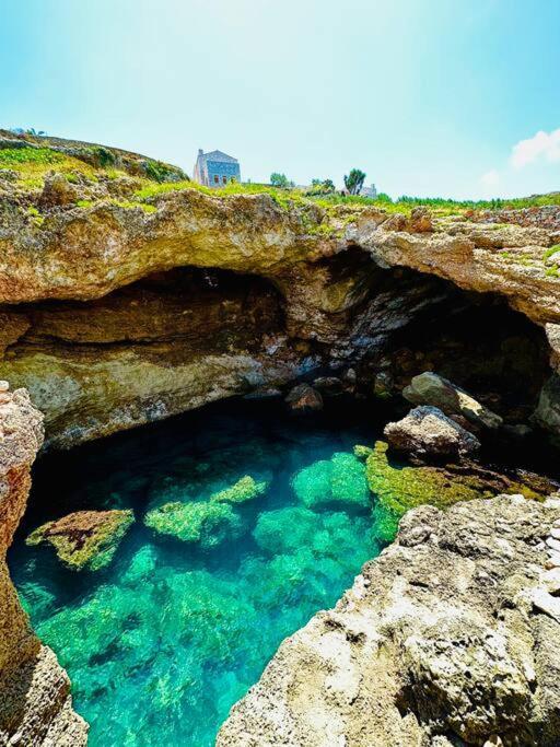 Cliffside Cozy W/ Seaviews *
