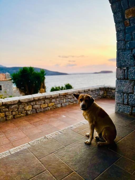 Cliffside Cozy W/ Seaviews Villa Mézapos